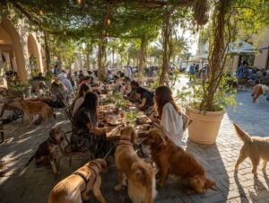 dining with pets