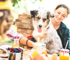 Lady with pet at restaurant