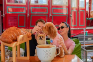 Pet friendly Restaurant bohox