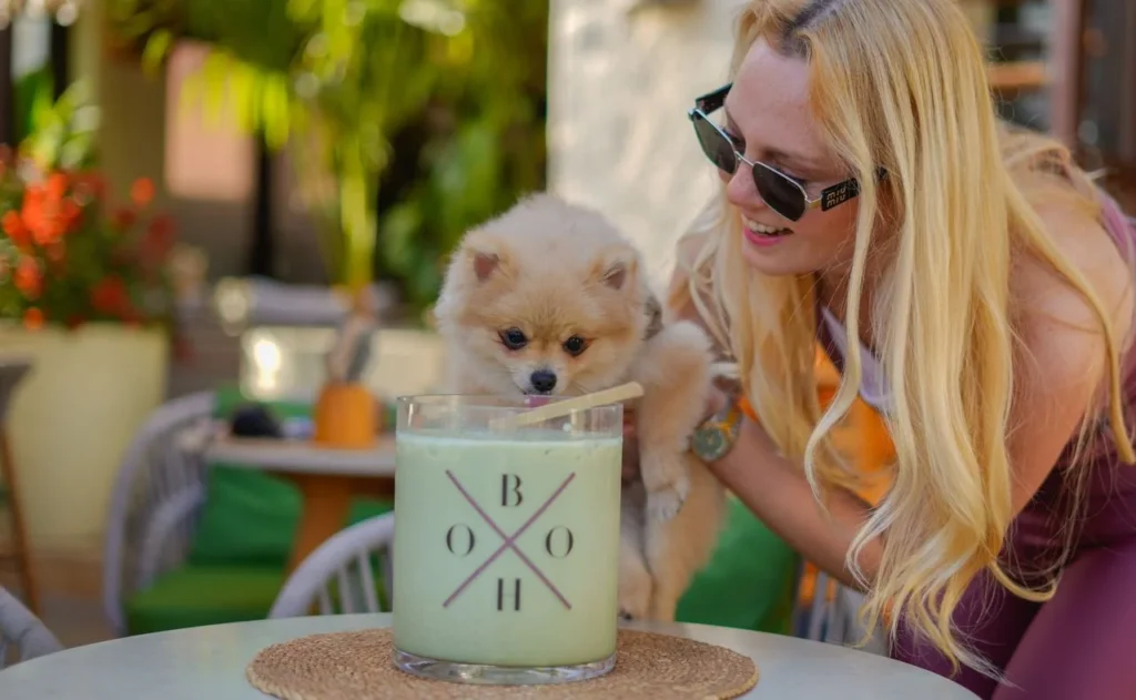pet friendly dining