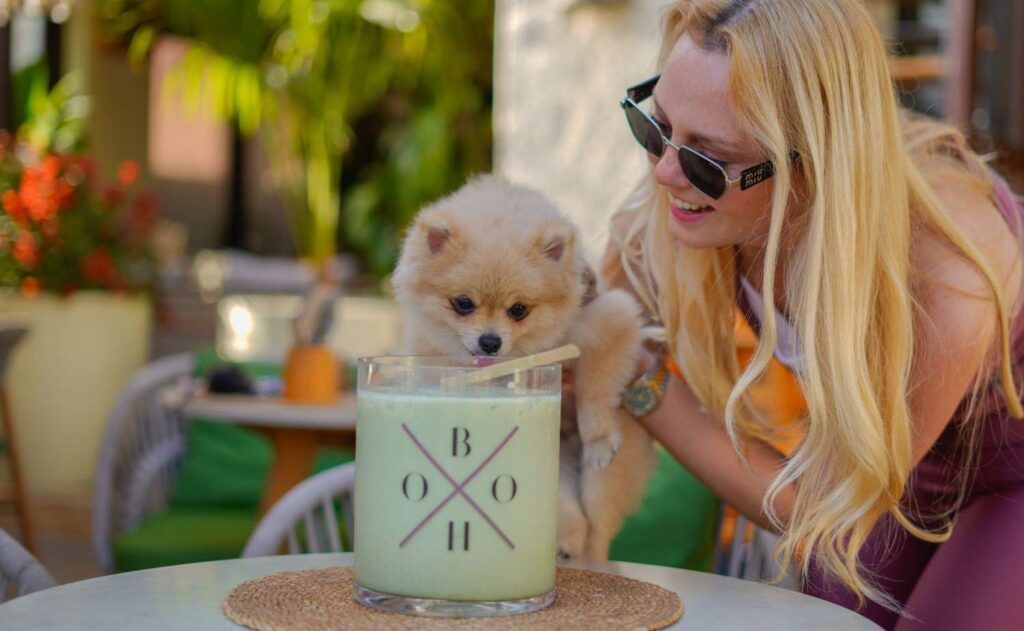 Fluffy Pomeranian puppy drinking from a green beverage while being held by a smiling woman at an BohoX restaurant.