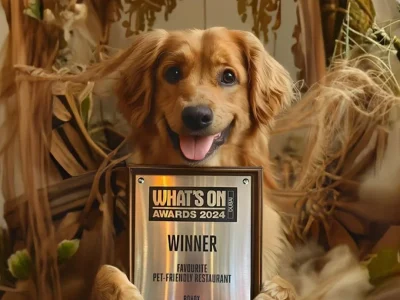 Discover the Best Pet-Friendly Restaurants in Dubai