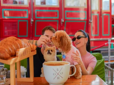 Pet friendly Restaurant bohox