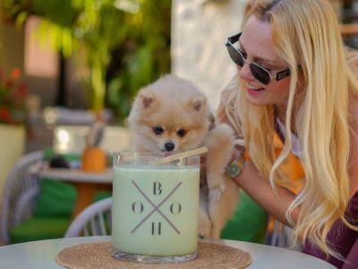 Fluffy Pomeranian puppy drinking from a green beverage while being held by a smiling woman at an BohoX restaurant.