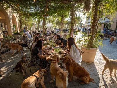dining with pets